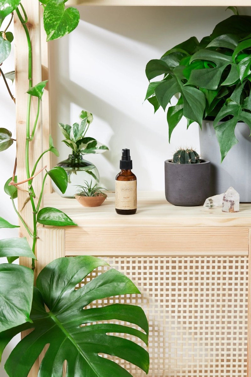 Organic Insect Repellent Spray with Citronella for Outdoor Enthusiasts - Everetts Place