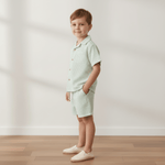 Organic Shirt & Shorts Set - Basil Stripes - Sleeve, Collar, Button, Child, Bermuda shorts | Everetts Place