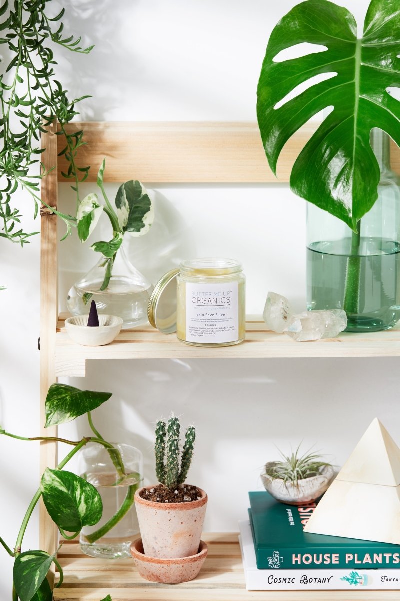 Organic Skin Save Salve for Rashes and Infections for Sensitive Skin - Everetts Place