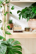 Butter Me Up Organics Organic Vegan Flower Garden Soap with Nourishing Ingredients for Self - Care - 