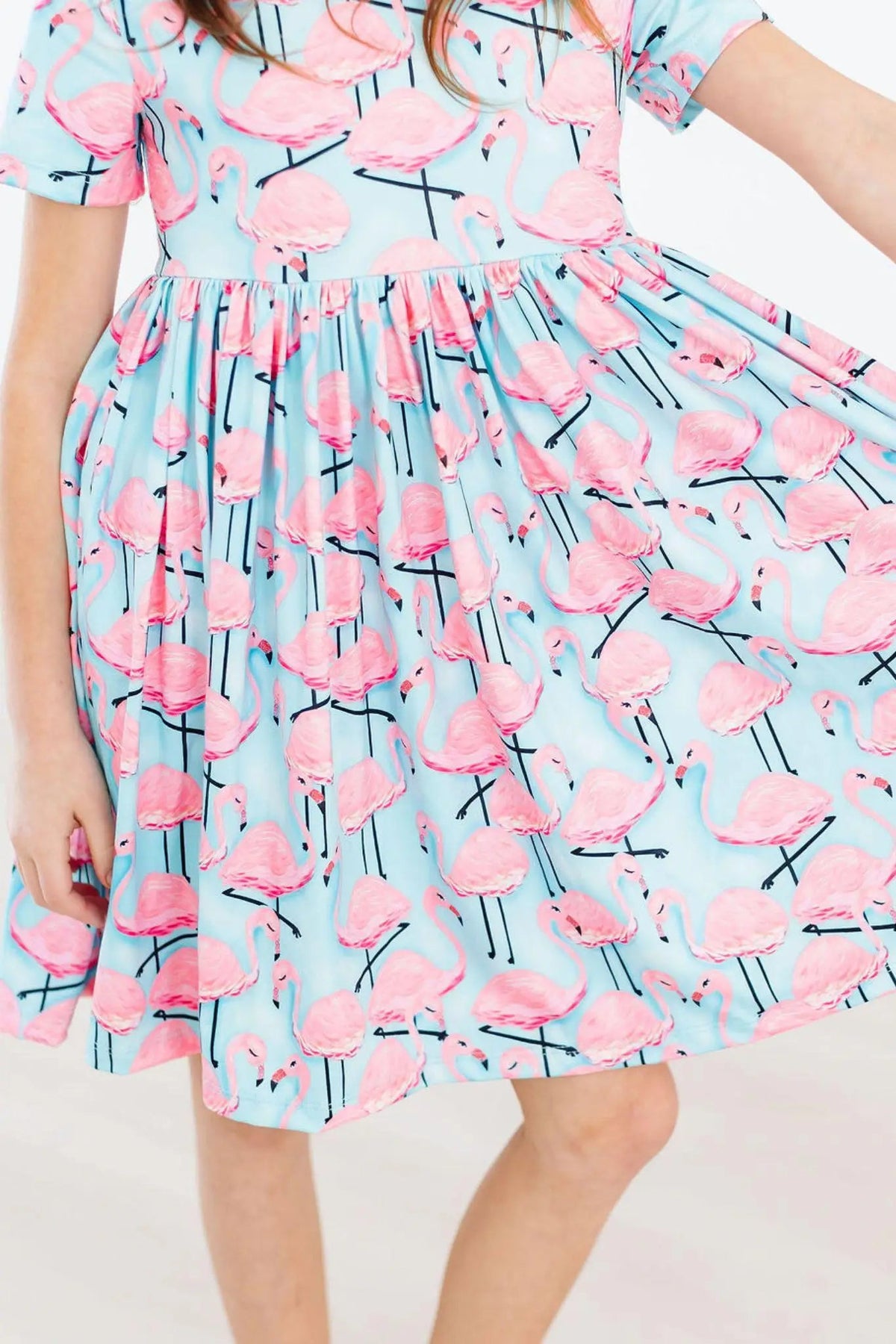 Mila & Rose ® Pretty in Pink Flamingos S/S Pocket Twirl Dress - 