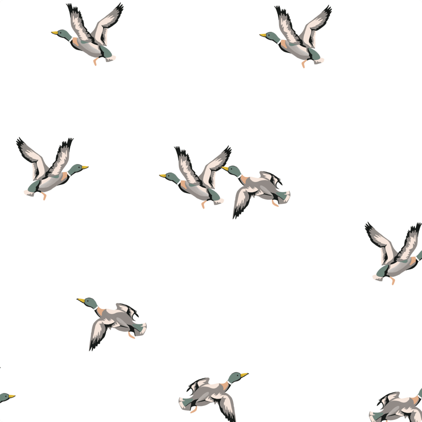 LollyBanks Quacking Up Swaddle BlanketEveretts Place