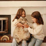 Mushie Rainbow Stacker Toy from Danish Hygge Collection for Learning and Play - Everetts Place Boutique - 