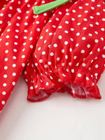 Rylee Faith Designs Red Holiday Baby Girls Dress With Festive Embroidery - Everetts Place Boutique - 