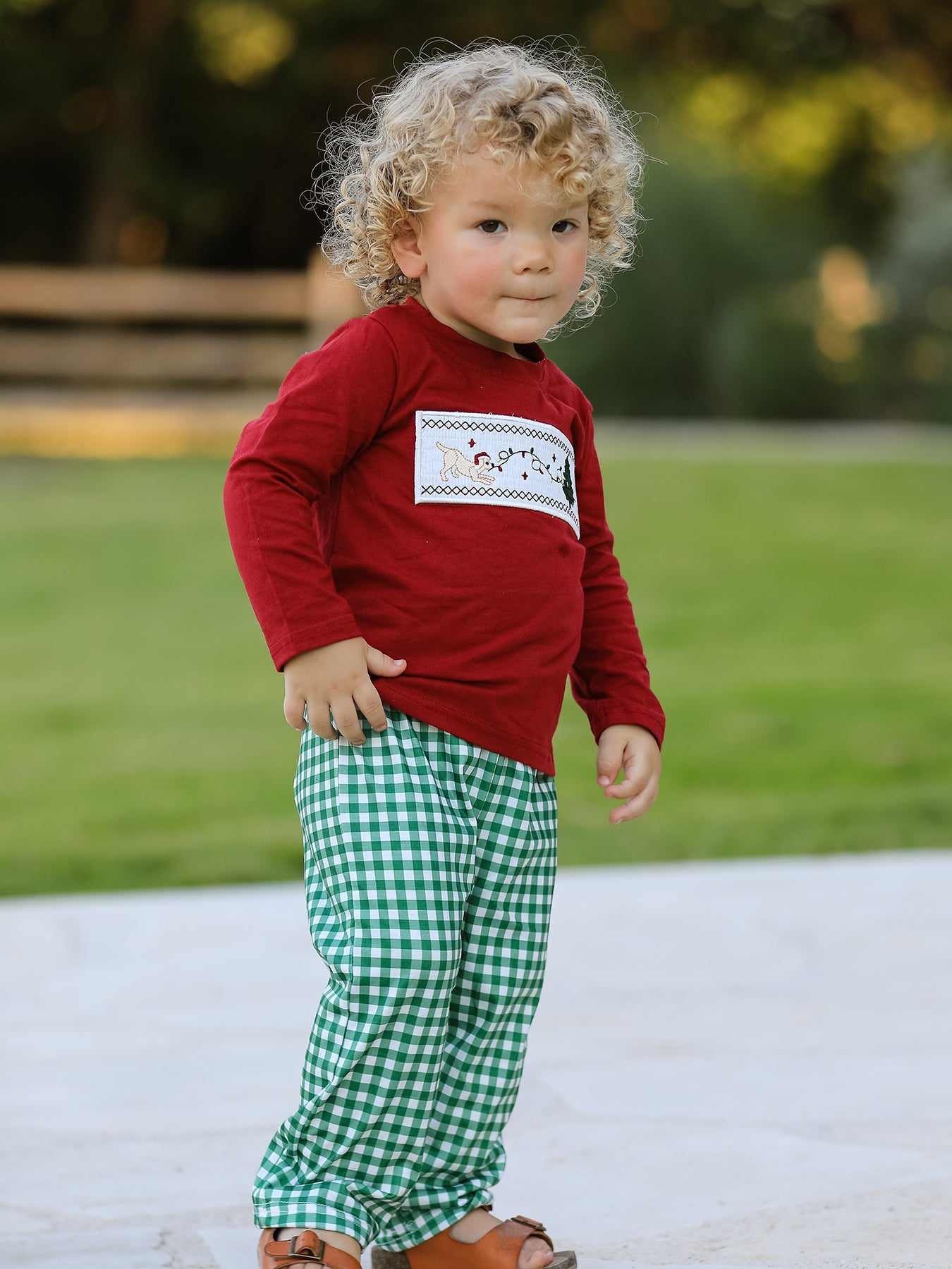 Christmas Tree Dog Smocking Embroidered  Plaid Boys Set by Rylee Faith Designs