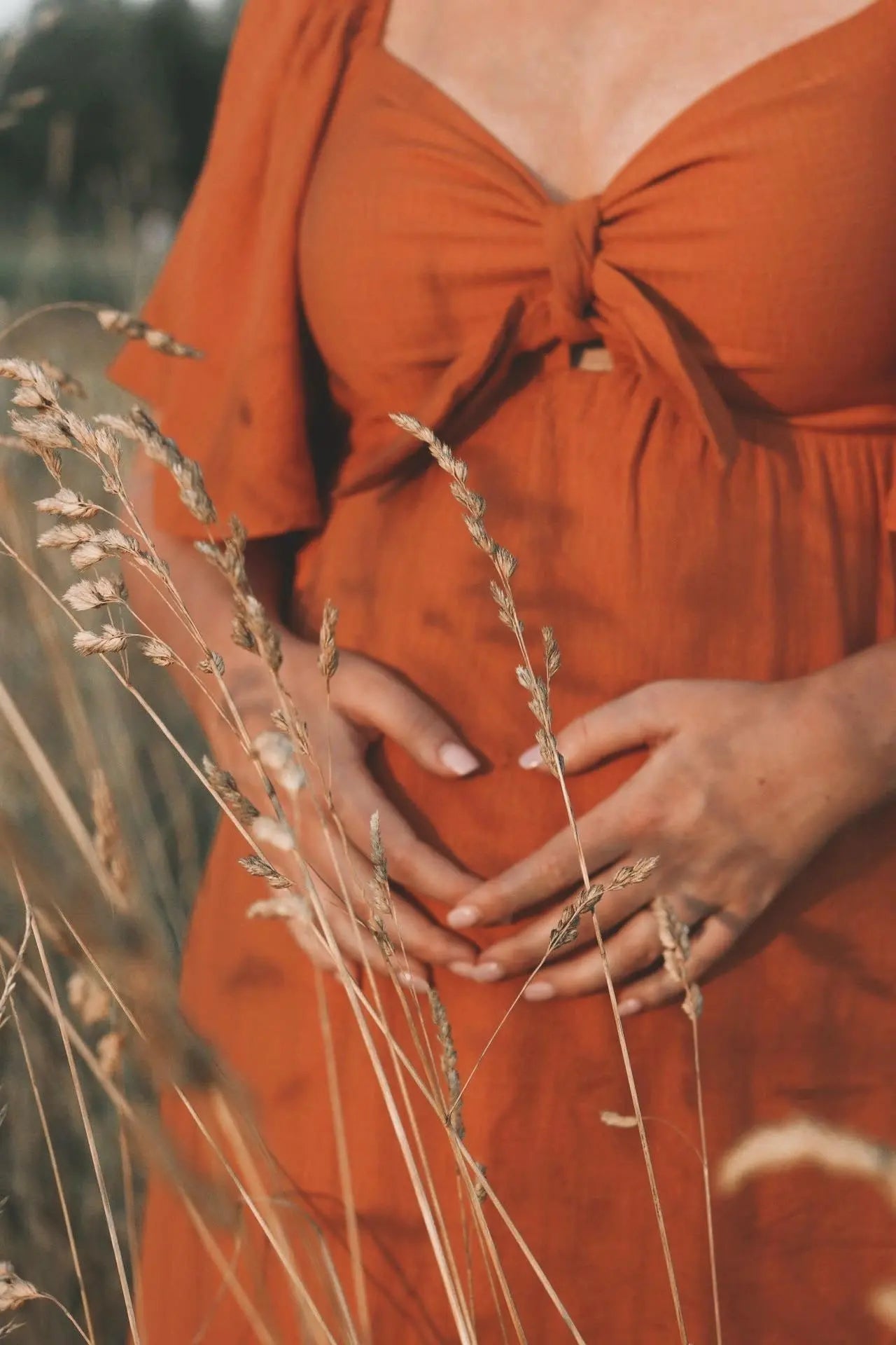 PinkBlush Rust Front Tie Ruffle Sleeve Maternity Midi Dress - 