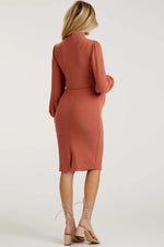 PinkBlush Rust Rib Knit Mock Neck Maternity Nursing Dress - 