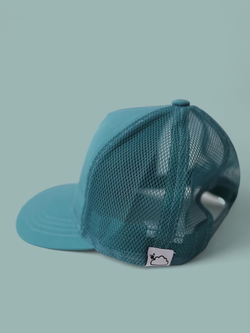 DREAM BIG LITTLE CO SAGE DREAM TRUCKER HATEveretts Place