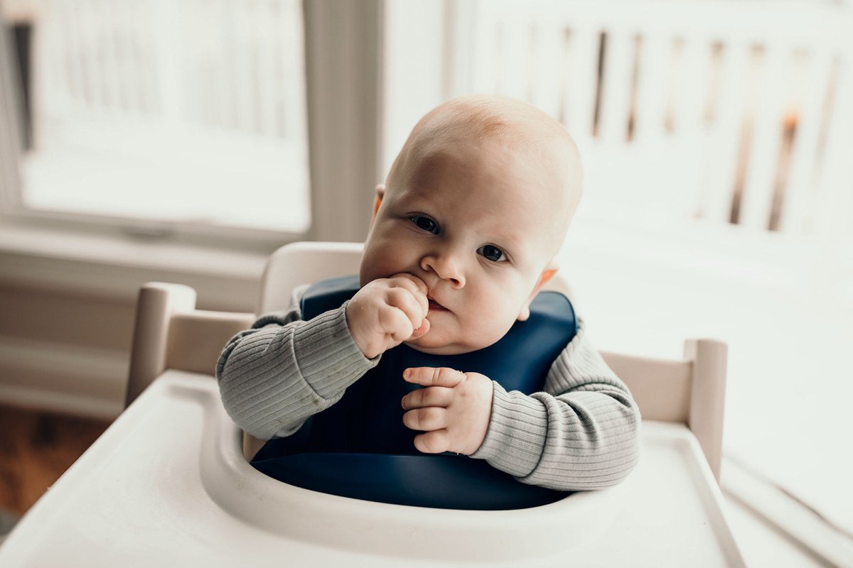 Three Little Tots Sailor Blue Silicone Bib with Crumb Catcher - 