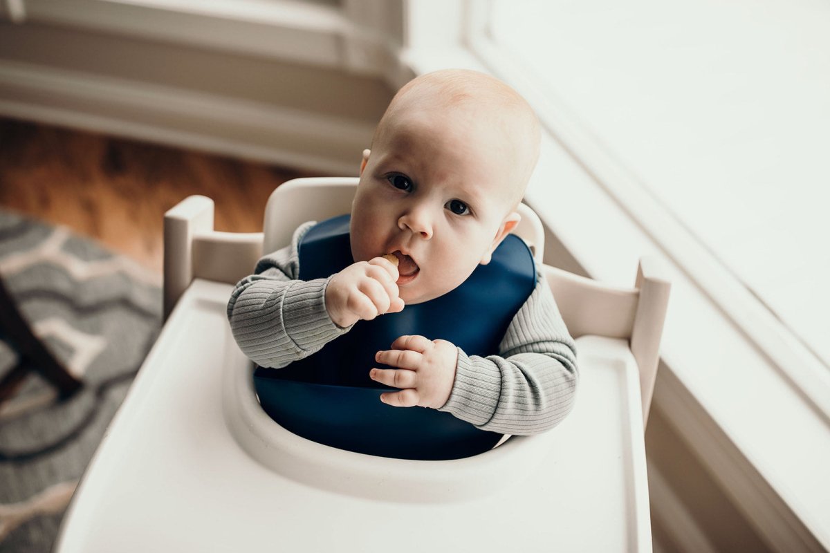 Three Little Tots Sailor Blue Silicone Bib with Crumb Catcher - 