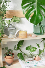 Butter Me Up Organics Sea Buckthorn Facial Moisturizer with Acne Treatment for Radiant Skin - 