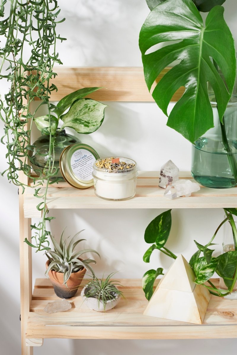 Serenity Organic Soy Wax Candle with Wood Wick for Peaceful Aromatherapy - Everetts Place