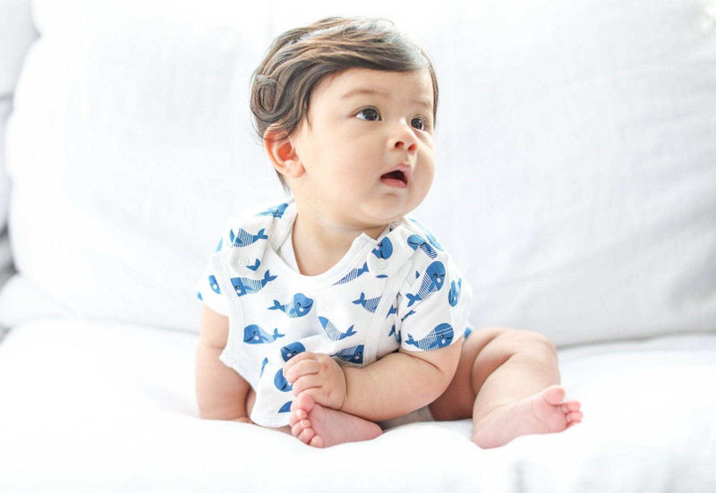 Short Sleeve Bodysuit + Bib - Blue Whale - Everetts Place: Online Boutique - Baby Clothing