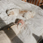 Mushie Silicone Pacifier Clip Hera Durable Food Grade Silicone Bead Design - Everetts Place Boutique - 