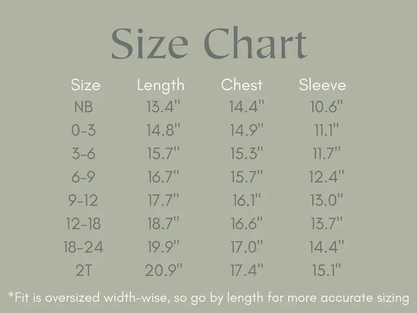 Little Joy Co. Silly Goose Bamboo Baby Romper Teal Or Blue Little Joy Co - Everetts Place Boutique - 