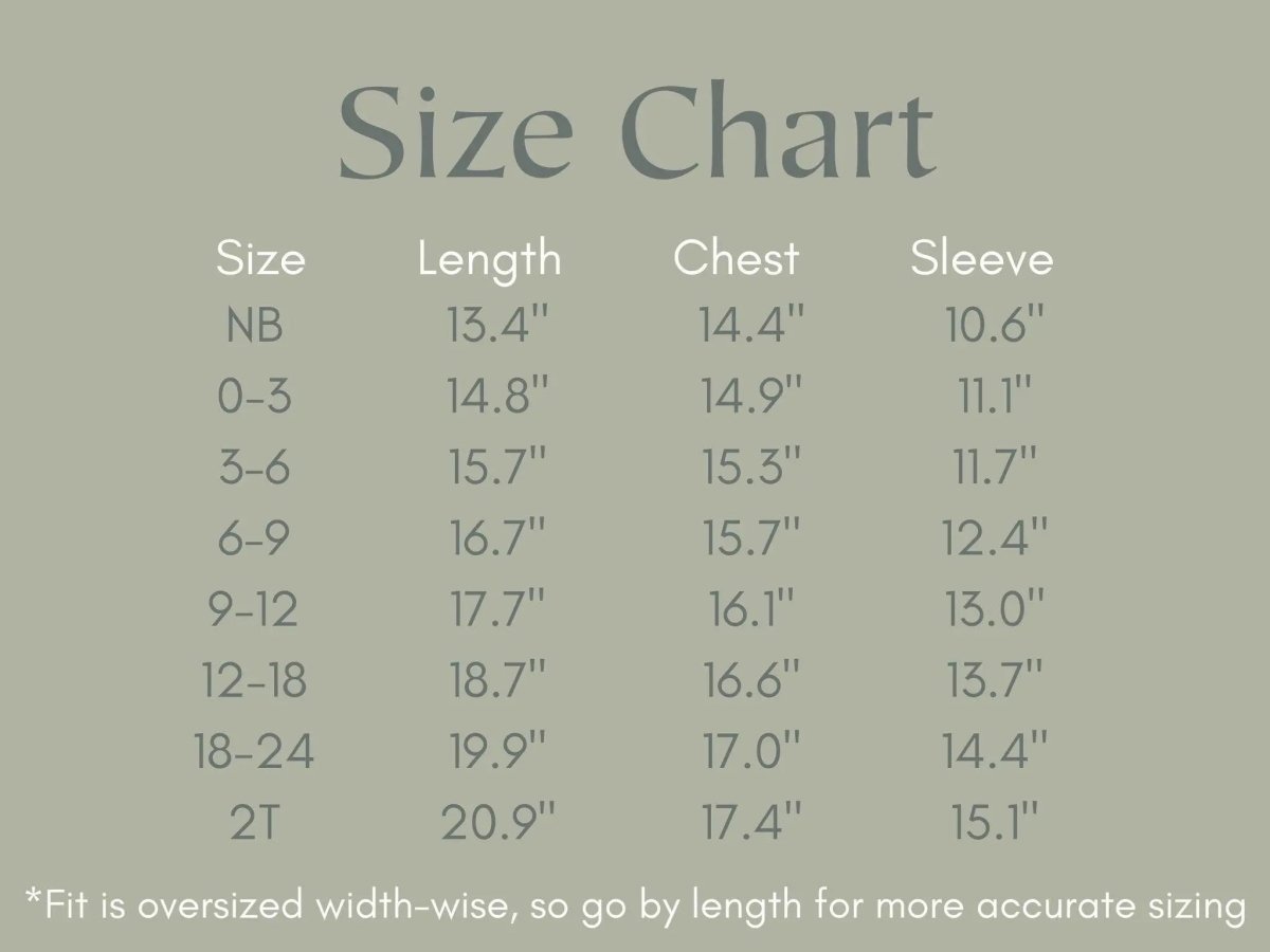 Little Joy Co. Silly Goose Sweatshirt Romper For Babies In Multiple Colors - Everetts Place Boutique - 