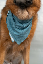 DREAM BIG LITTLE CO SLEEPY SMILES DREAM DOG BANDANAEveretts Place