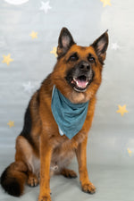 DREAM BIG LITTLE CO SLEEPY SMILES DREAM DOG BANDANAEveretts Place