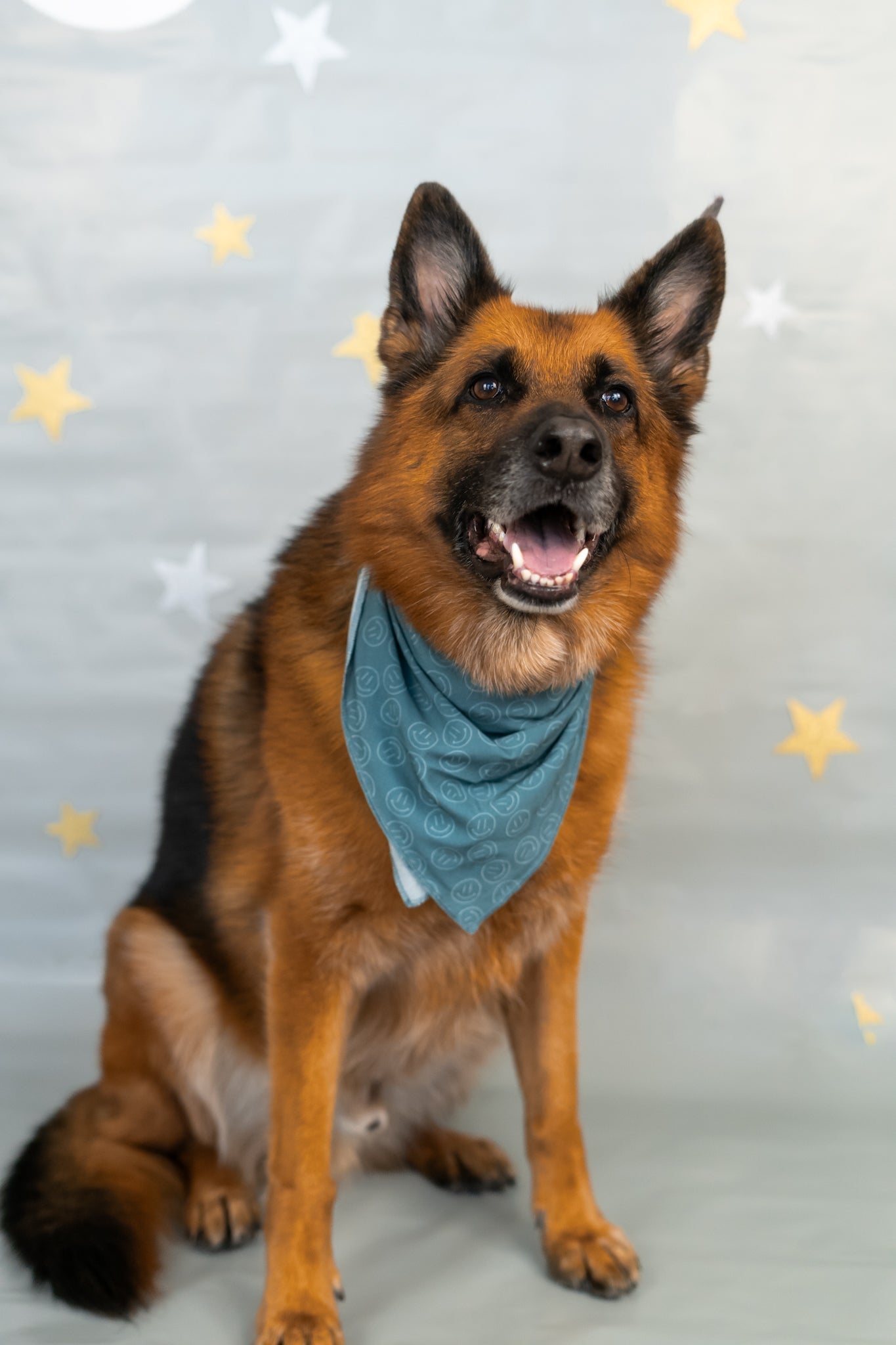 DREAM BIG LITTLE CO SLEEPY SMILES DREAM DOG BANDANAEveretts Place