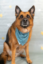 DREAM BIG LITTLE CO SLEEPY SMILES DREAM DOG BANDANAEveretts Place