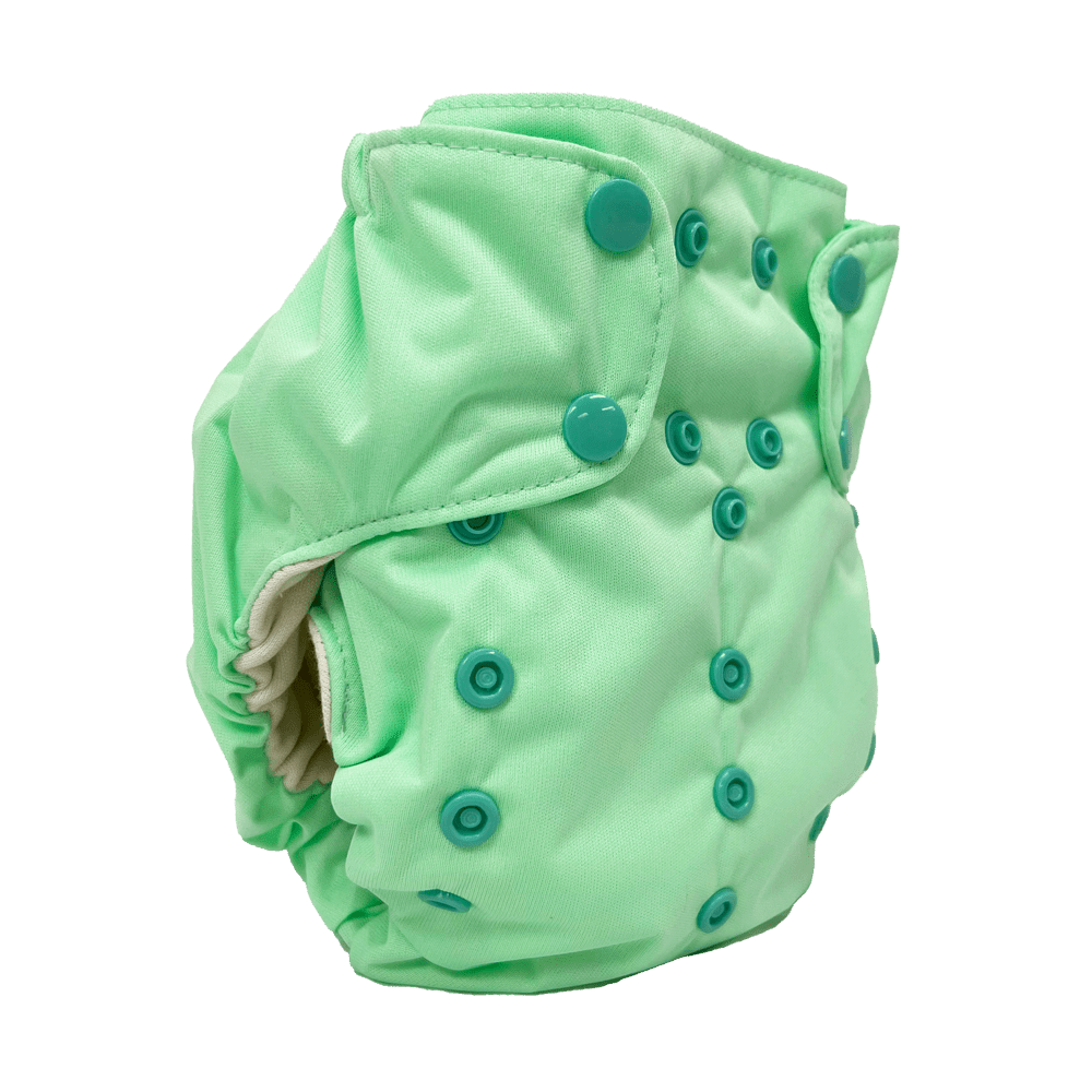Smart Bottoms Smart One 3.1 Cloth Diaper - Dublin - 