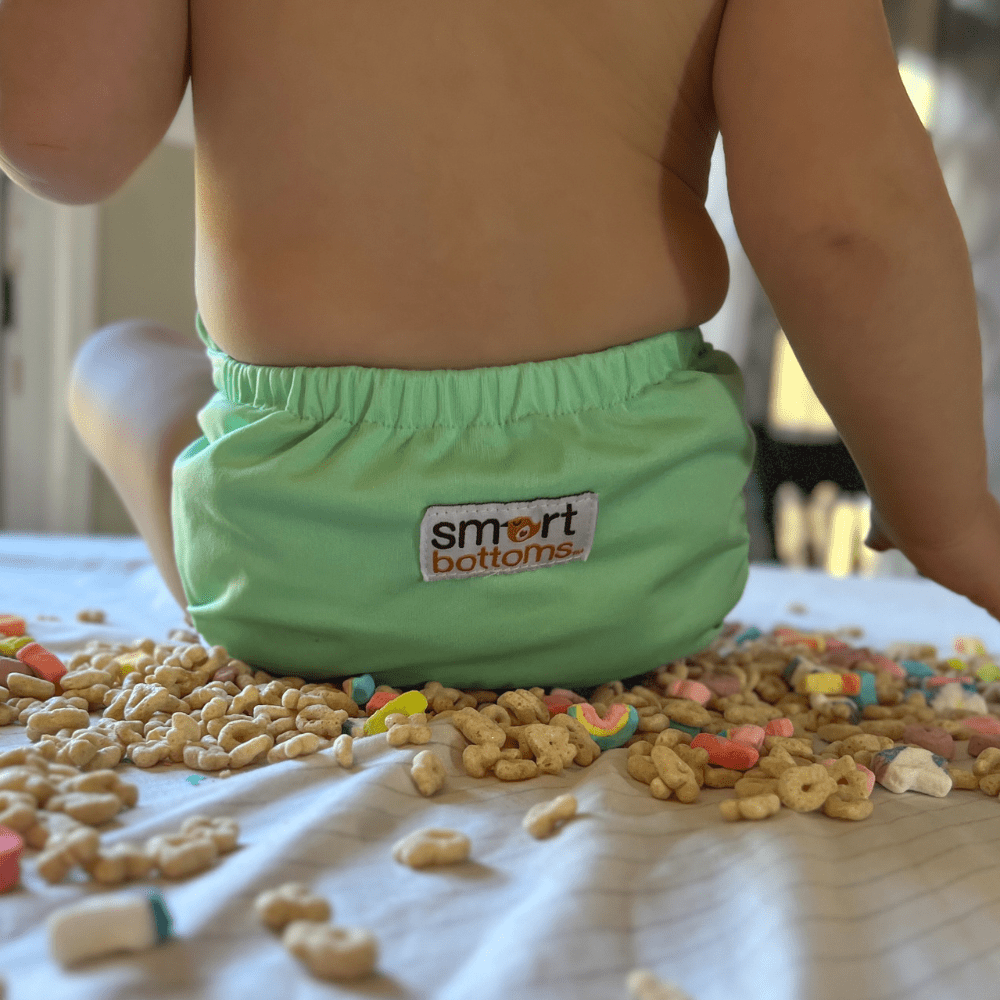 Smart Bottoms Smart One 3.1 Cloth Diaper - Dublin - 