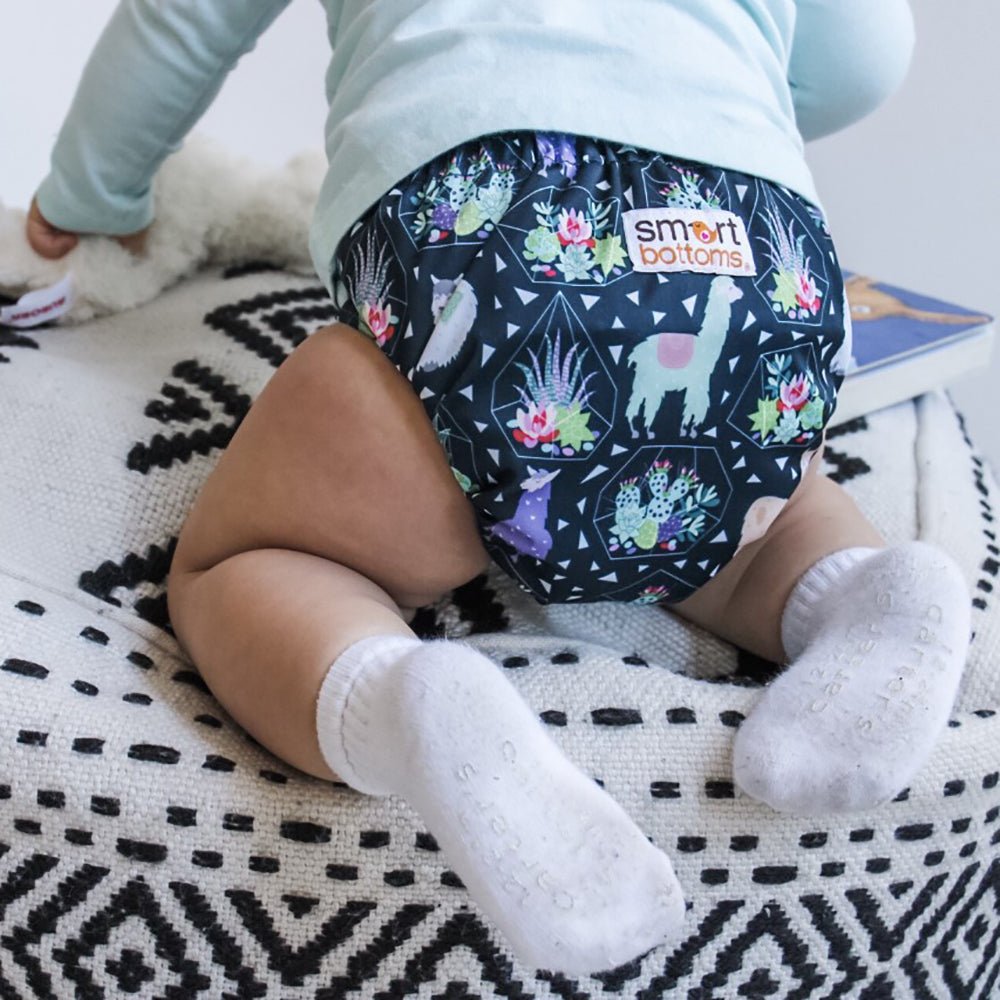 Smart Bottoms Smart One 3.1 Cloth Diaper - Tina - 
