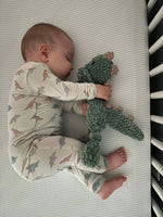 Little Joy Co. Snugglesaurus 2pc Henley Bamboo Pajamas - Sizes Newborn & Up! - 