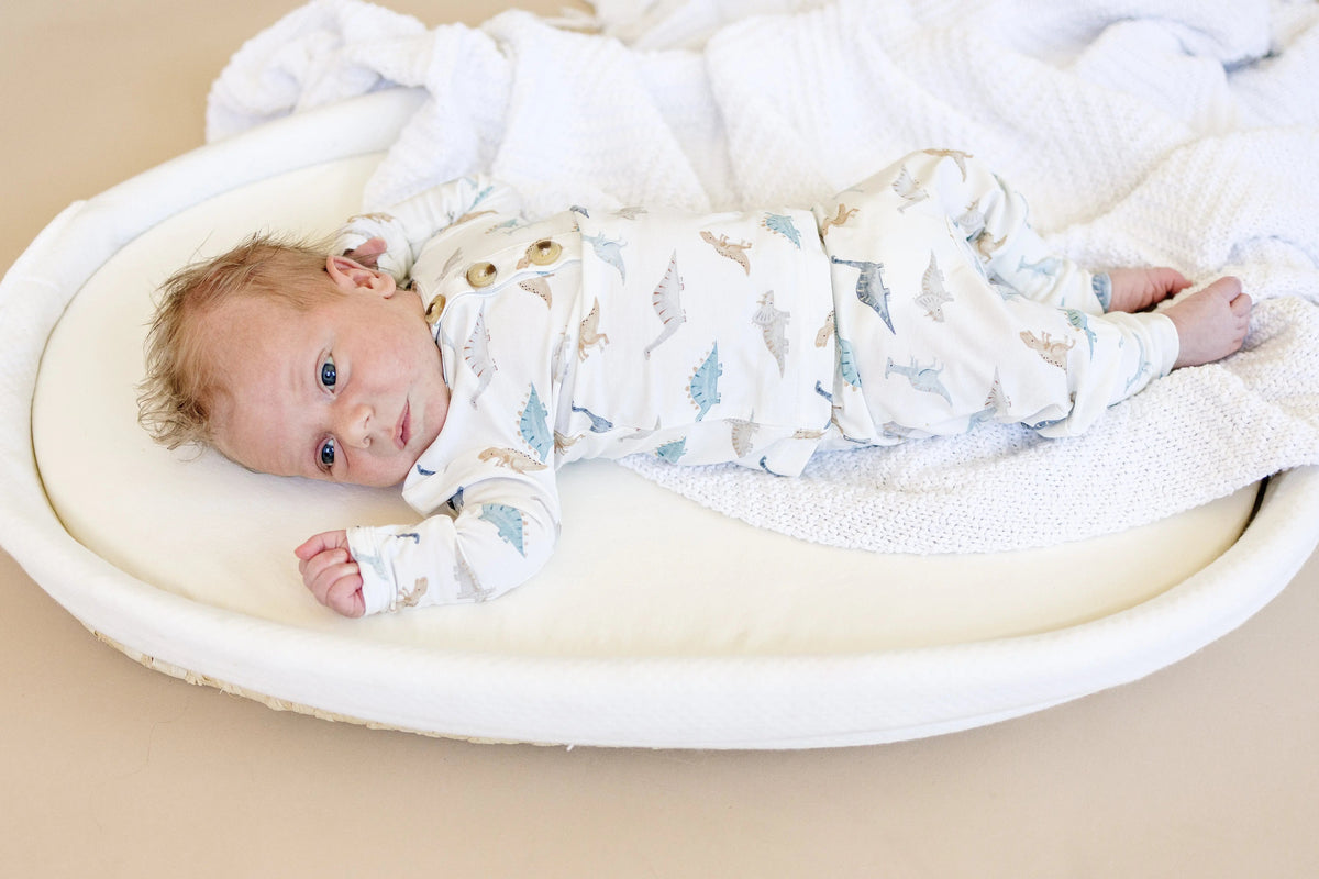 Little Joy Co. Snugglesaurus 2pc Henley Bamboo Pajamas - Sizes Newborn & Up! - 