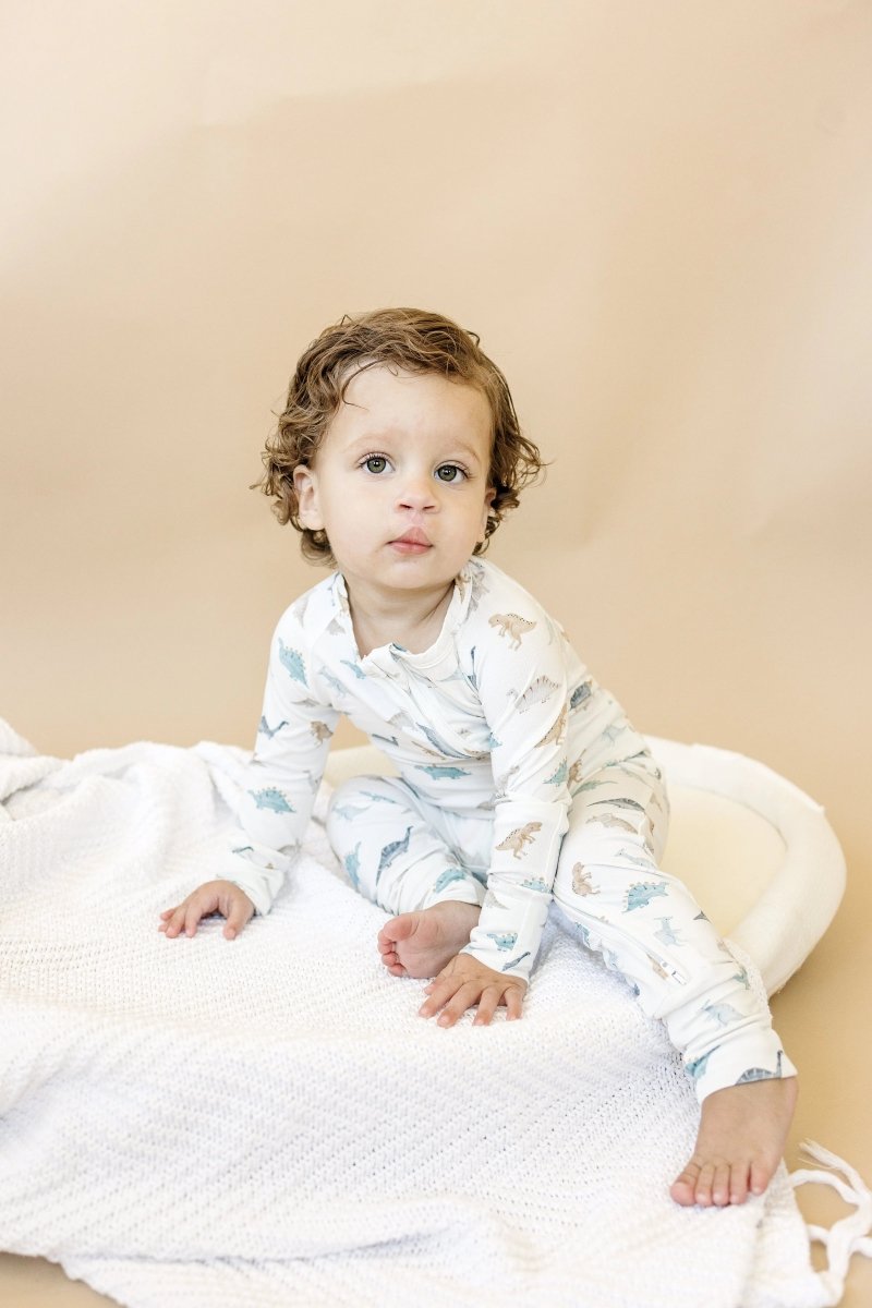 Little Joy Co. Snugglesaurus Bamboo Zippy Romper for Babies with Feet - Everetts Place Boutique - 