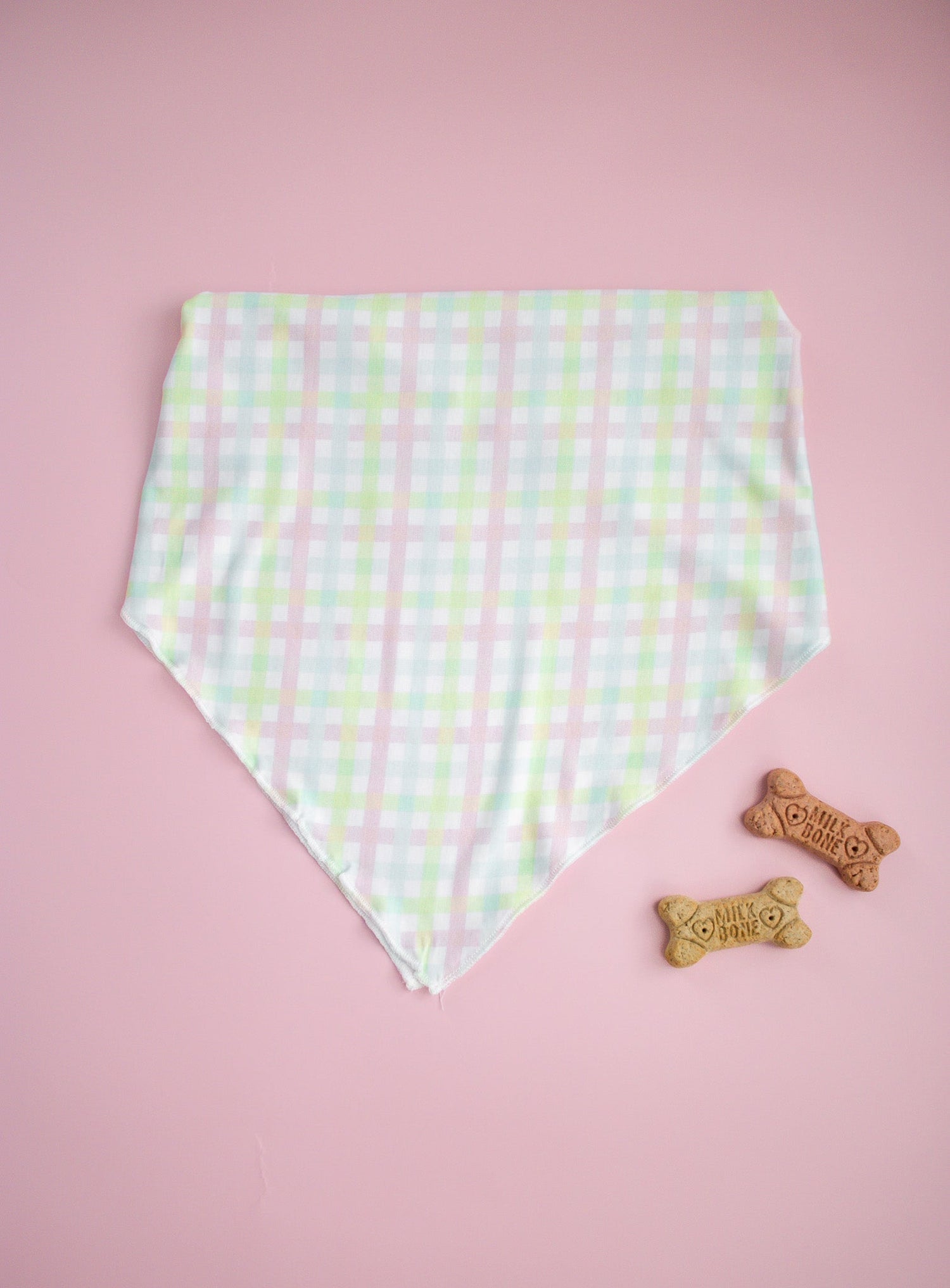 DREAM BIG LITTLE CO SPRING GINGHAM DREAM DOG BANDANAEveretts Place