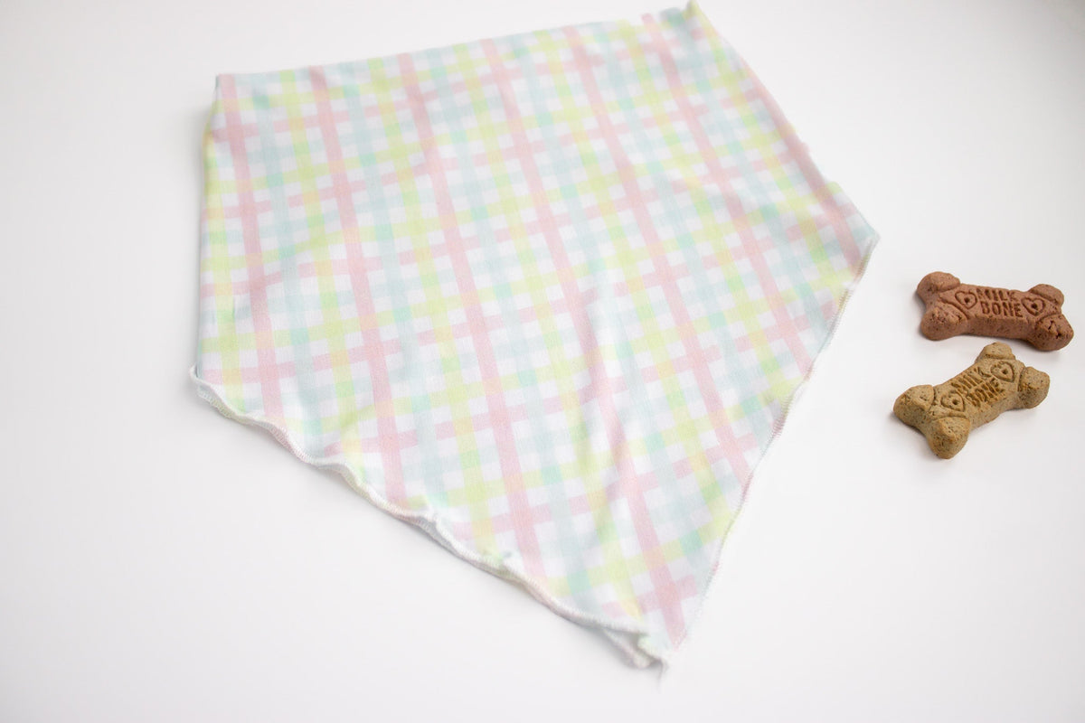 DREAM BIG LITTLE CO SPRING GINGHAM DREAM DOG BANDANAEveretts Place