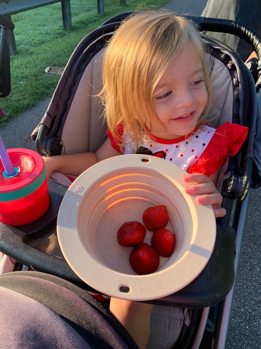Three Little Tots Sugar Cookie Collapsible Bowl for Travel or Home - 