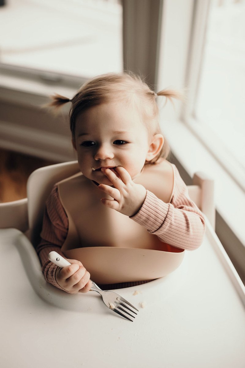 Three Little Tots Sugar Cookie Silicone Bib with Crumb Catcher - 