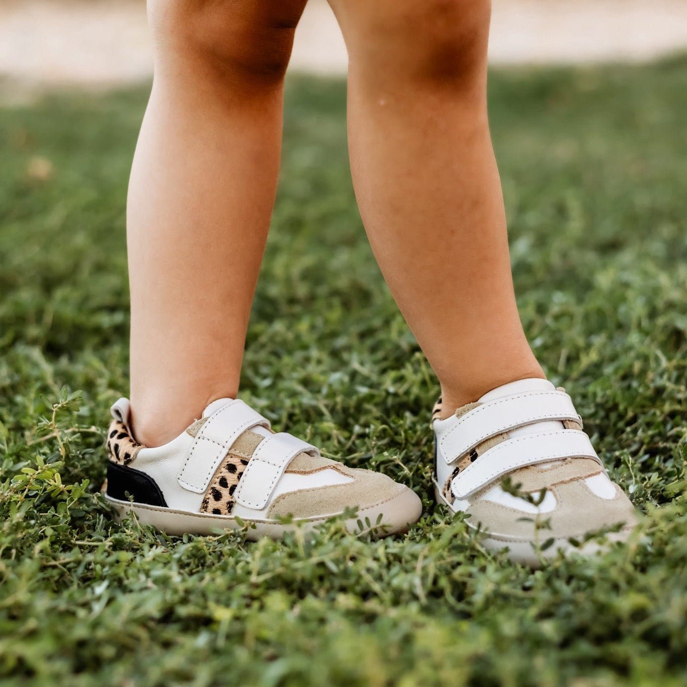 Little Love Bug Co. The Blake organic baby moccasins