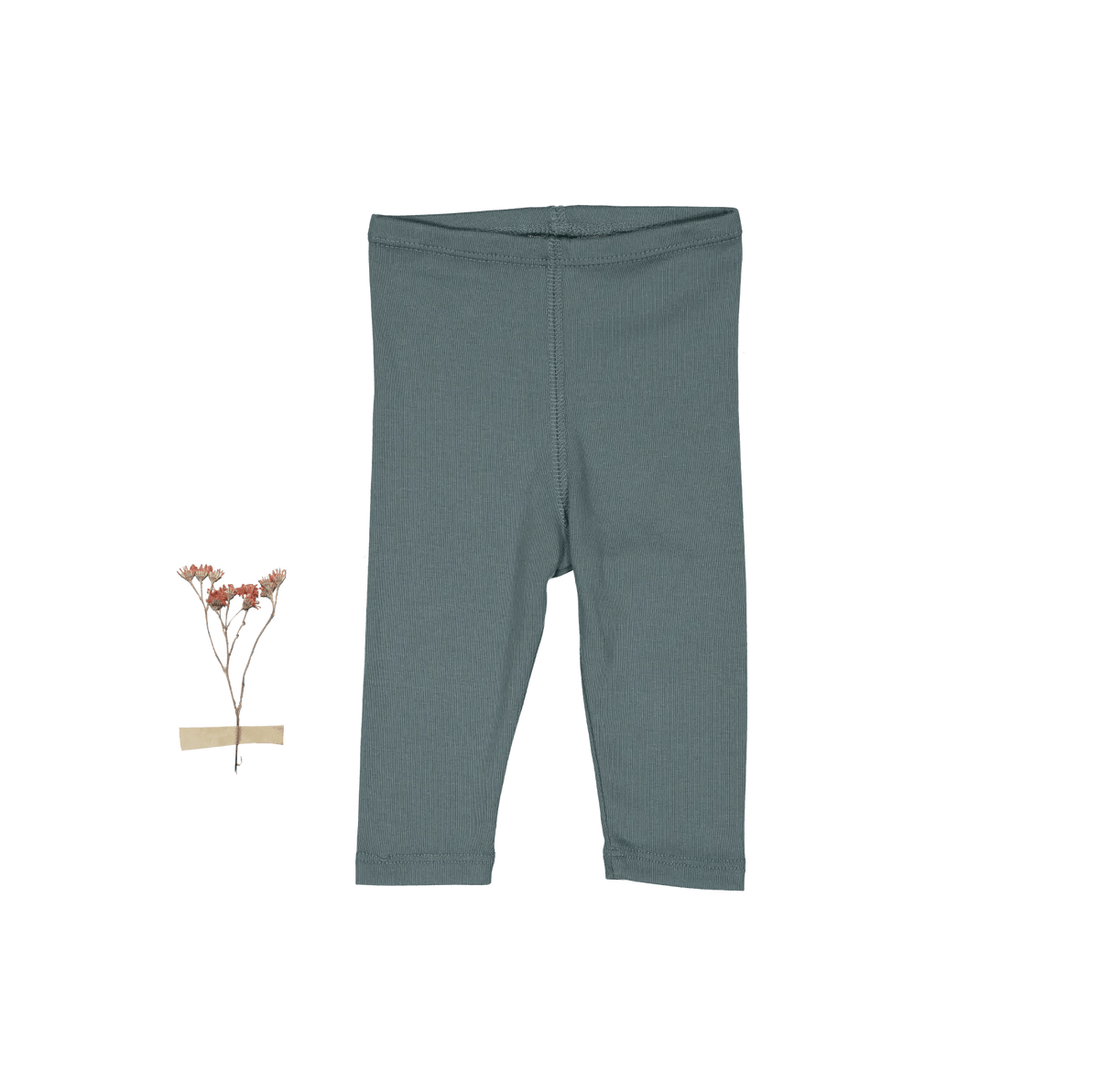 The Legging - Fern - Bermuda shorts, Pattern, Pants | Everetts Place