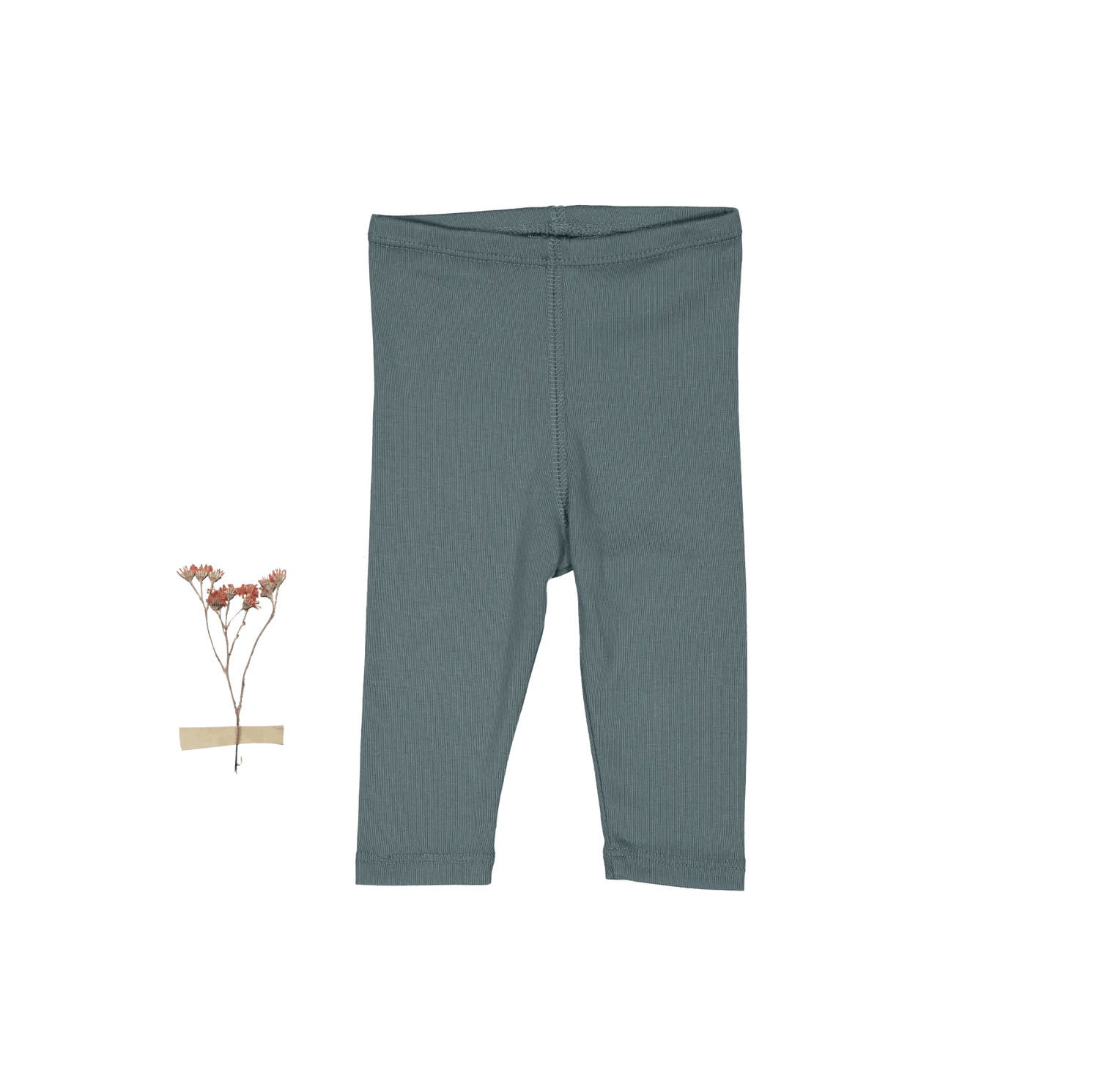 The Legging - Fern - Bermuda shorts, Pattern, Pants | Everetts Place