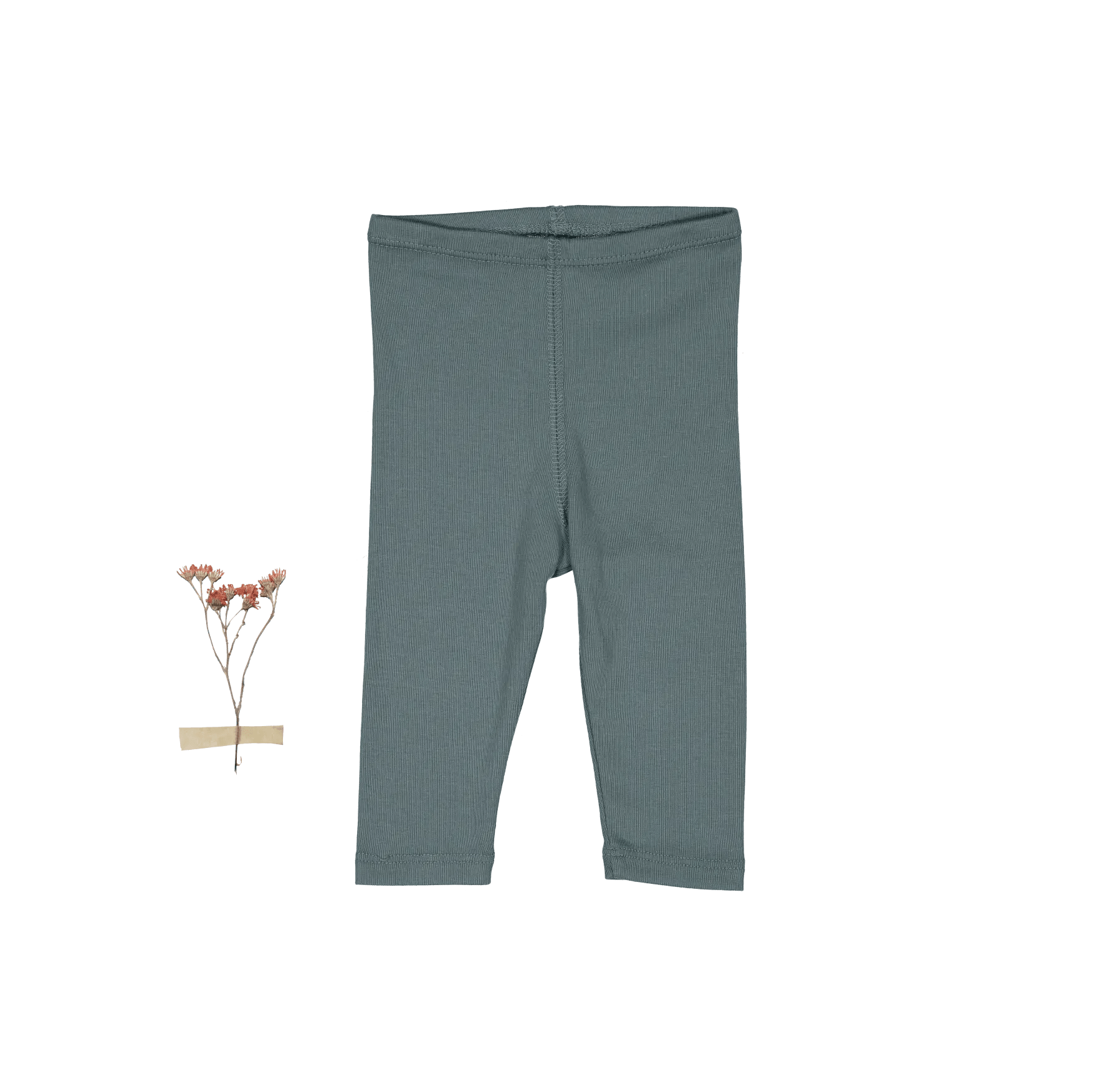 The Legging - Fern - Bermuda shorts, Pattern, Pants | Everetts Place