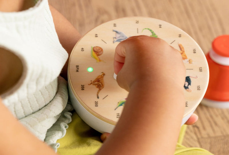 The Music Set - Everetts Place: Online Boutique - Playthings