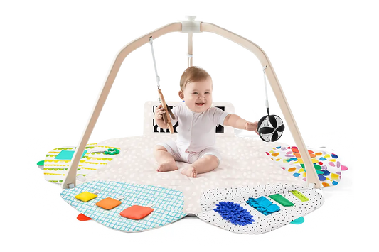 The Play Gym for Baby Development and Fun.