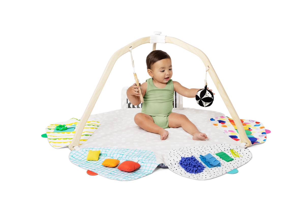 Lovevery The Play Gym - 