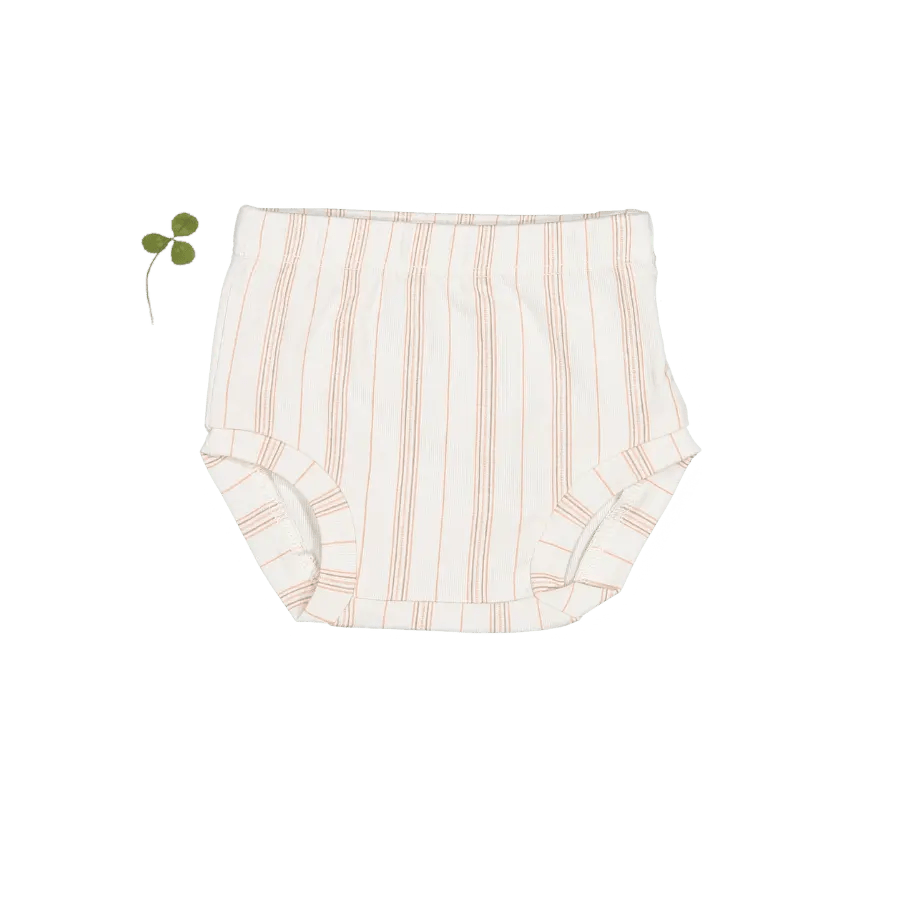 The Printed Bloomer - Rose Stripe - White, Baby & Toddler Clothing, Diaper, Incontinence Aid, Undergarment | Everetts Place