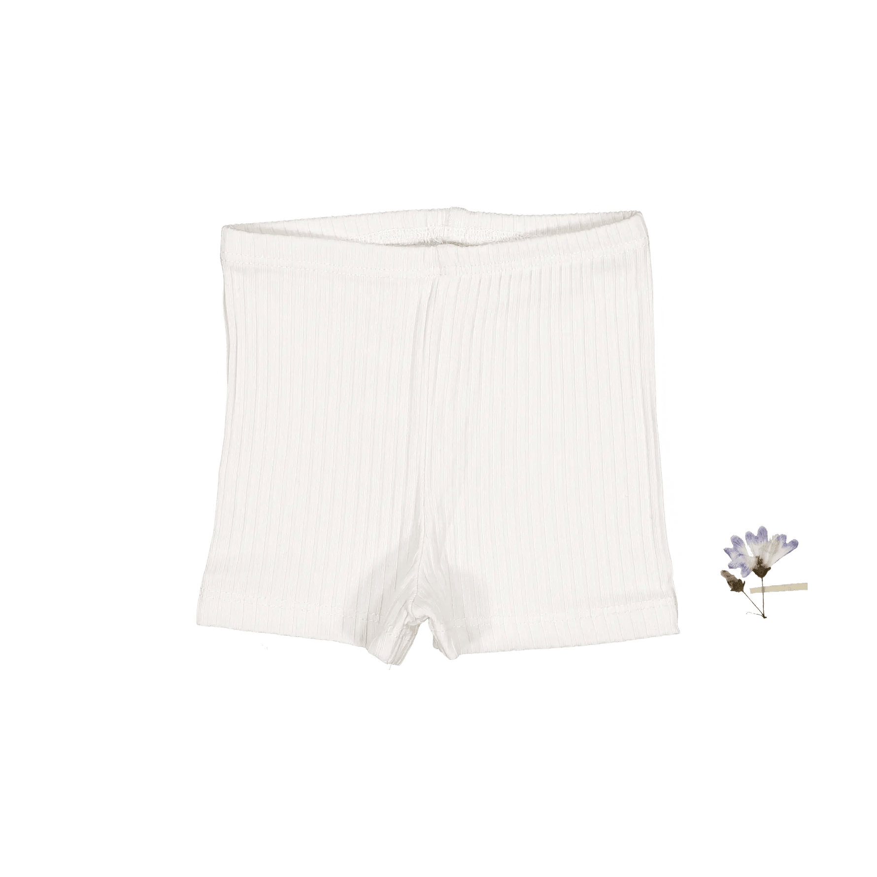 The Short - Pearl - White, Active Shorts, Trunks, Undergarment, Briefs | Everetts Place