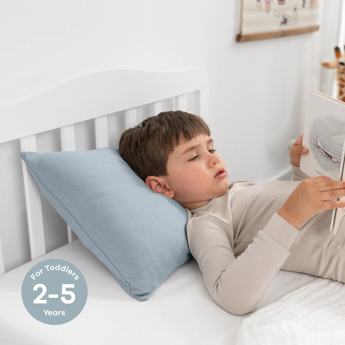 Comfy Cubs Toddler Pillows with Soft Cotton Pillow Case in Pacific Blue - 