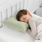 Comfy Cubs Toddler Pillows with Soft Cotton Pillow Case in Sage - 