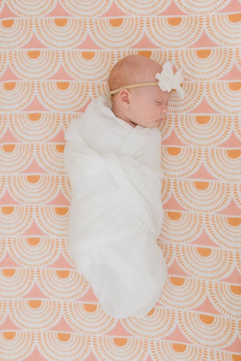 Harp Angel Boutique White Chiffon Bow Headband with Stretchy Nylon for Newborns to Toddlers - 