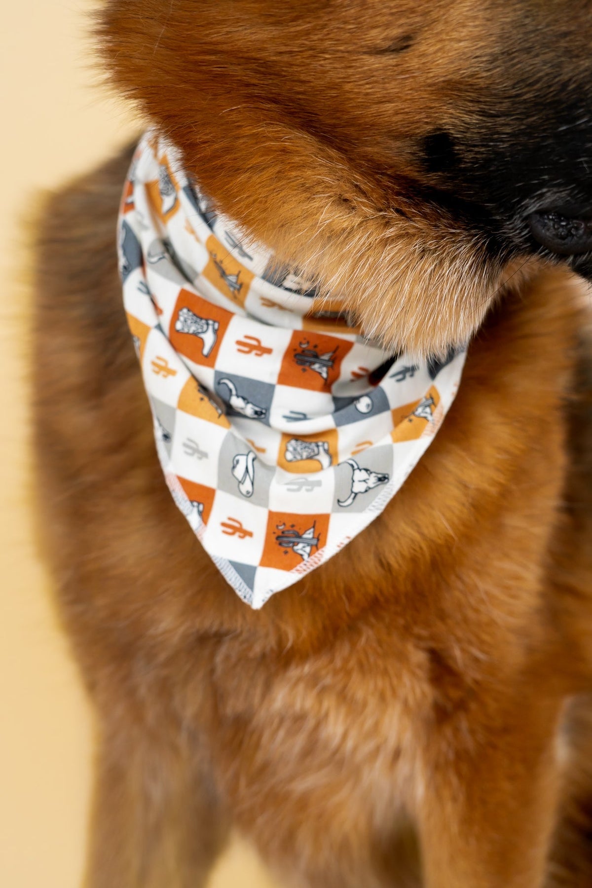 DREAM BIG LITTLE CO WILD WEST CHECKERS DREAM DOG BANDANAEveretts Place
