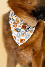 DREAM BIG LITTLE CO WILD WEST CHECKERS DREAM DOG BANDANAEveretts Place