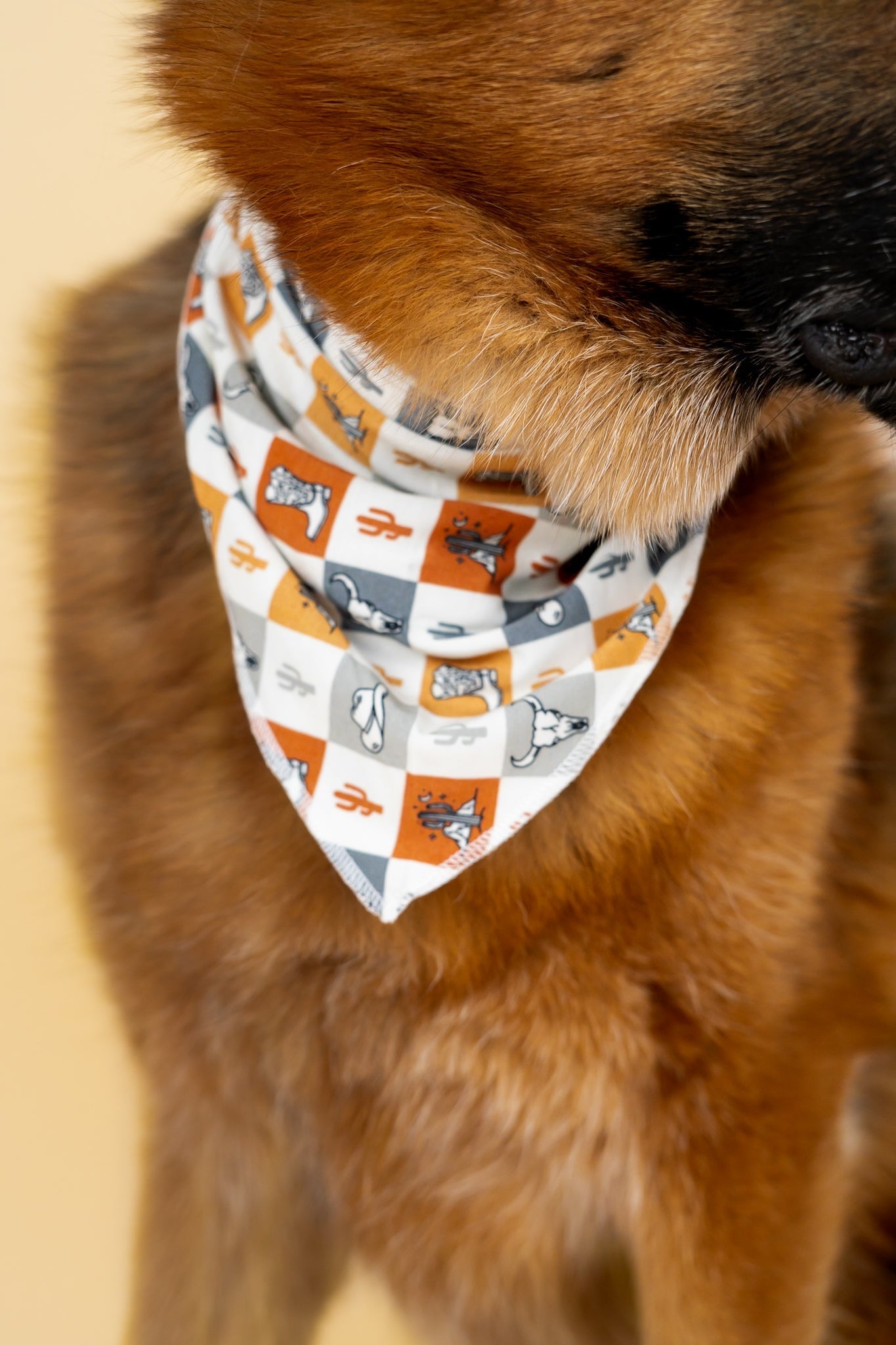 DREAM BIG LITTLE CO WILD WEST CHECKERS DREAM DOG BANDANAEveretts Place