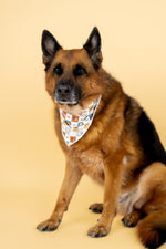 DREAM BIG LITTLE CO WILD WEST CHECKERS DREAM DOG BANDANAEveretts Place